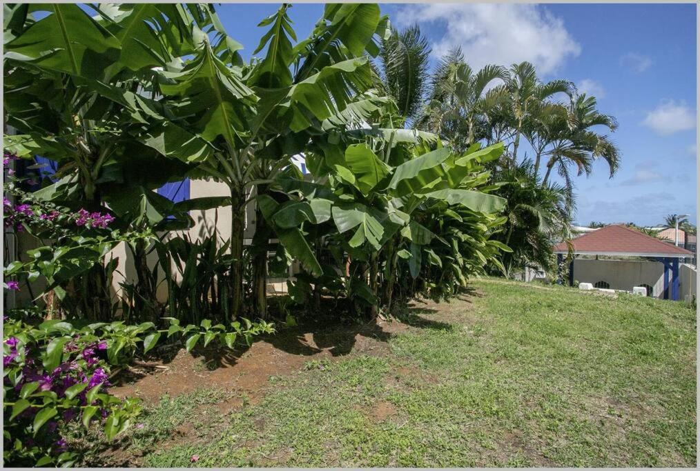 Villa Mango 150 Metres Plage A Pied Sainte-Luce Buitenkant foto